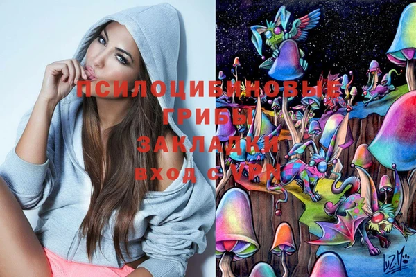 гидропоника Медногорск