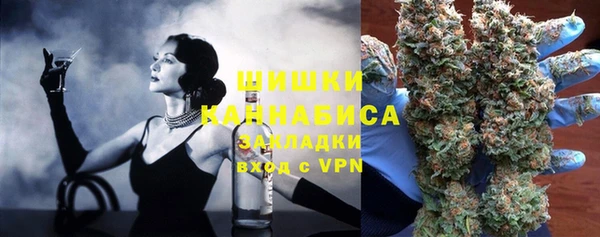гидропоника Медногорск