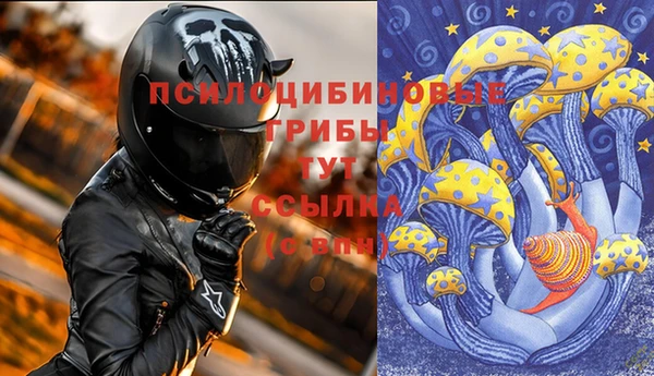 гидропоника Медногорск