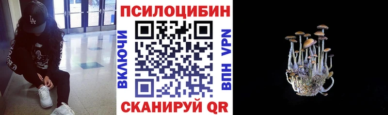 Псилоцибиновые грибы мицелий Когалым